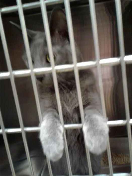 Banfield Pet Hospital Picture 8