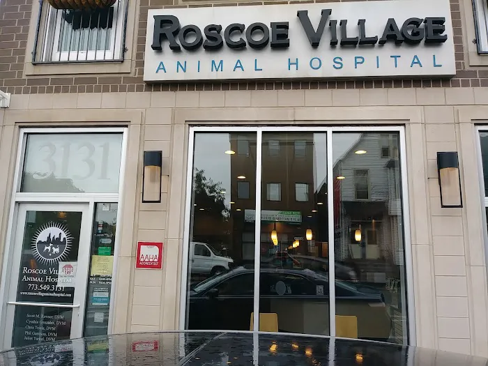 Roscoe Village Animal Hospital Picture 3