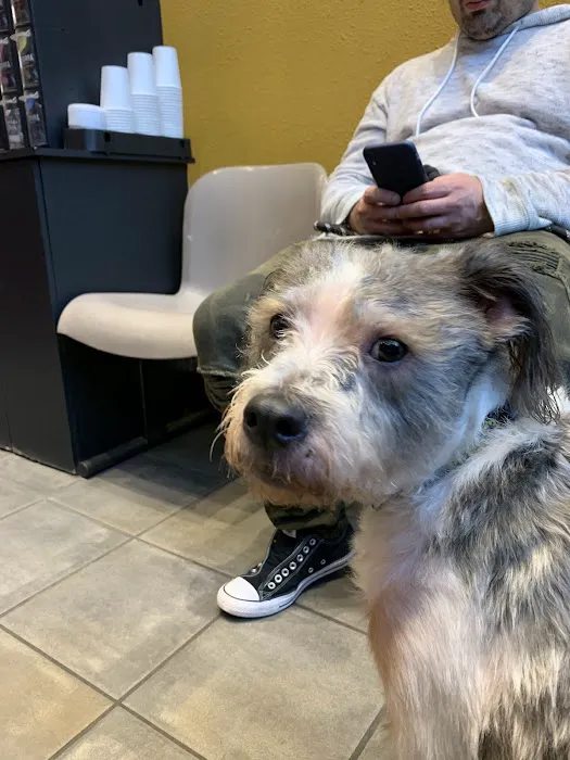 Higgins Animal Clinic Picture 1