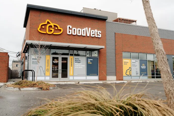 GoodVets Roscoe Village Picture 1