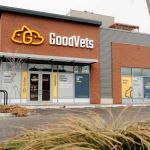 GoodVets Roscoe Village