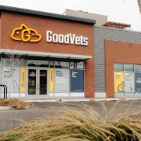 GoodVets Roscoe Village ico