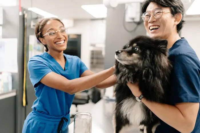 GoodVets Roscoe Village Picture 6
