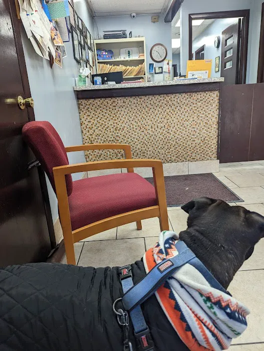Logan Square Animal Hospital Picture 4