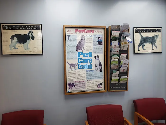 Logan Square Animal Hospital Picture 7