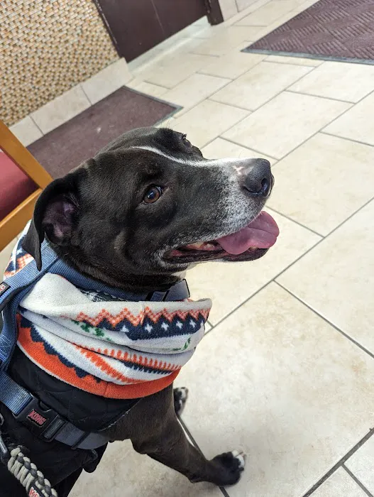 Logan Square Animal Hospital Picture 8