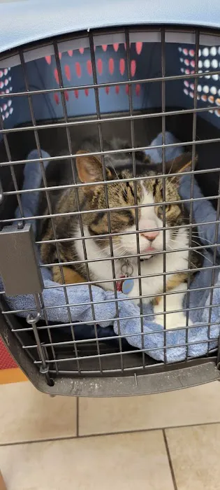 Logan Square Animal Hospital Picture 9