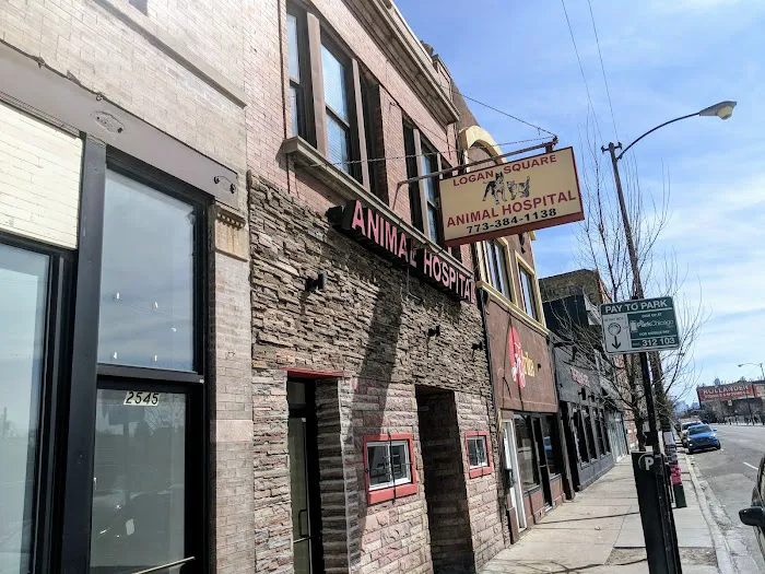 Logan Square Animal Hospital Picture 2