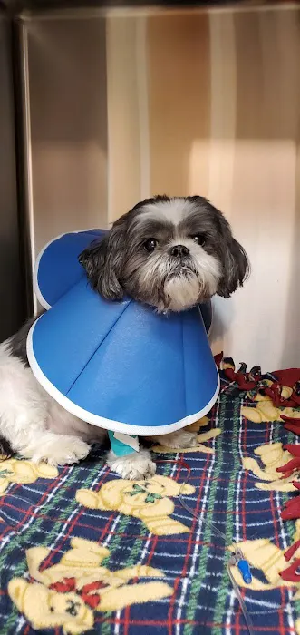 West Wrigley Animal Hospital Picture 2