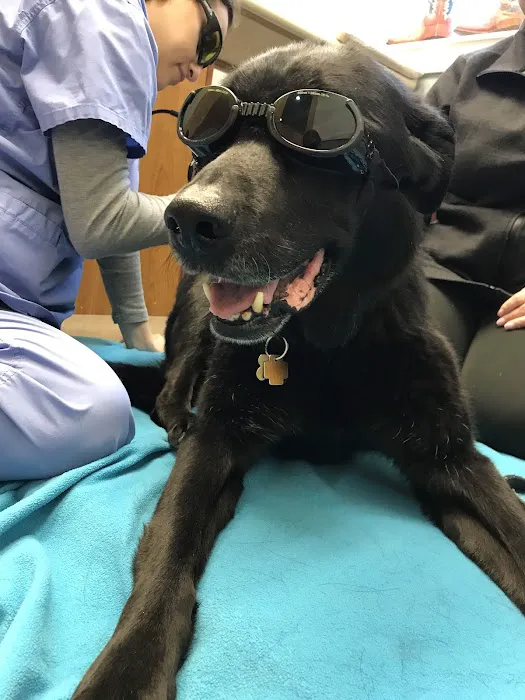 West Wrigley Animal Hospital Picture 8