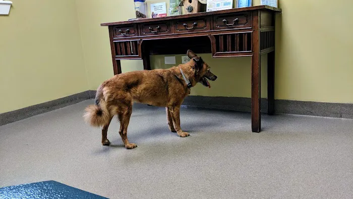 West Wrigley Animal Hospital Picture 6