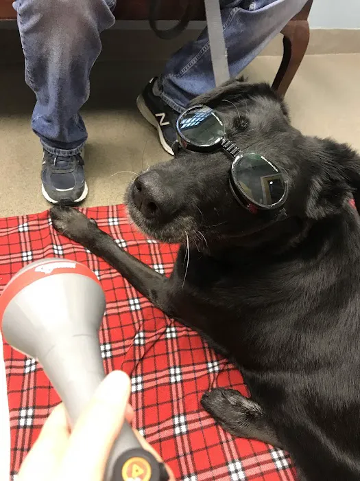 West Wrigley Animal Hospital Picture 9