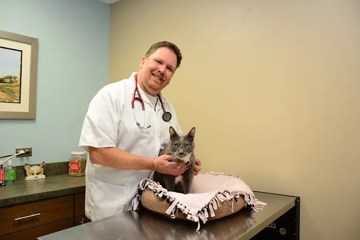 North Center Animal Hospital, A Thrive Pet Healthcare Partner Picture 5