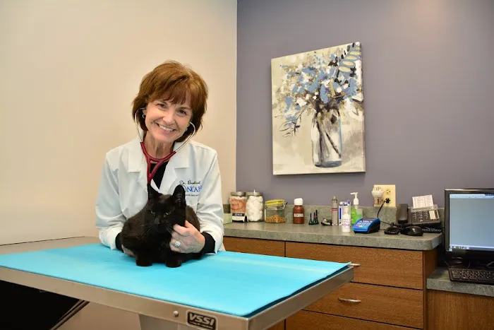 North Center Animal Hospital, A Thrive Pet Healthcare Partner Picture 4