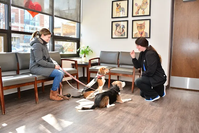 North Center Animal Hospital, A Thrive Pet Healthcare Partner Picture 9