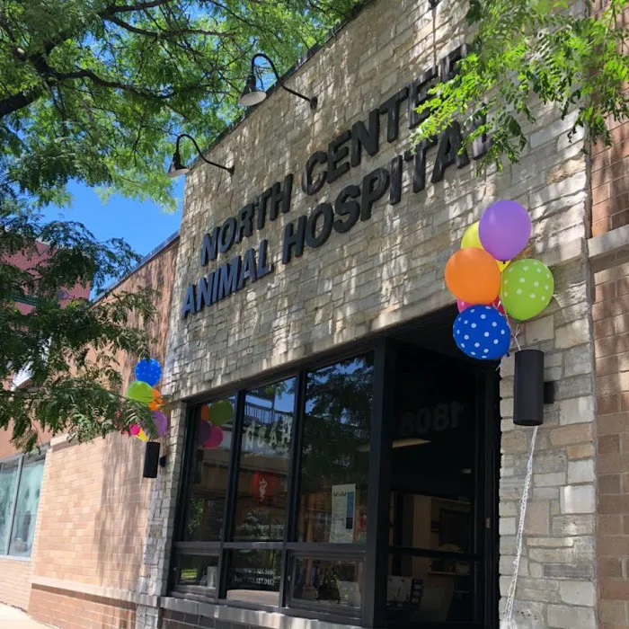 North Center Animal Hospital, A Thrive Pet Healthcare Partner Picture 10
