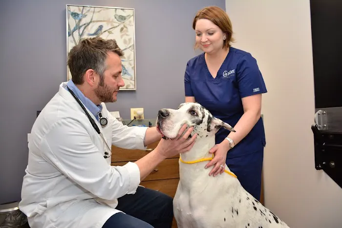 North Center Animal Hospital, A Thrive Pet Healthcare Partner Picture 1