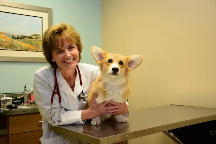 North Center Animal Hospital, A Thrive Pet Healthcare Partner Picture 7
