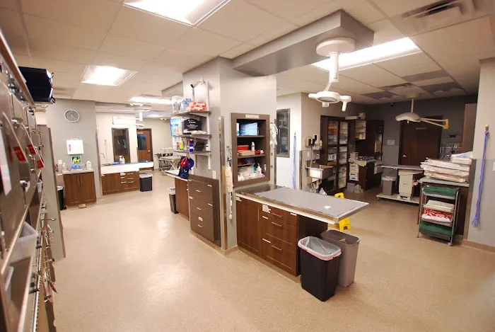 TLC Animal Hospital Picture 8
