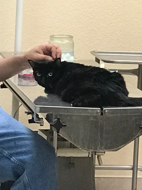 McRae Animal Hospital Picture 7