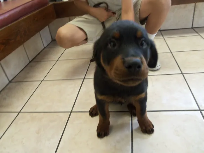 McRae Animal Hospital Picture 8