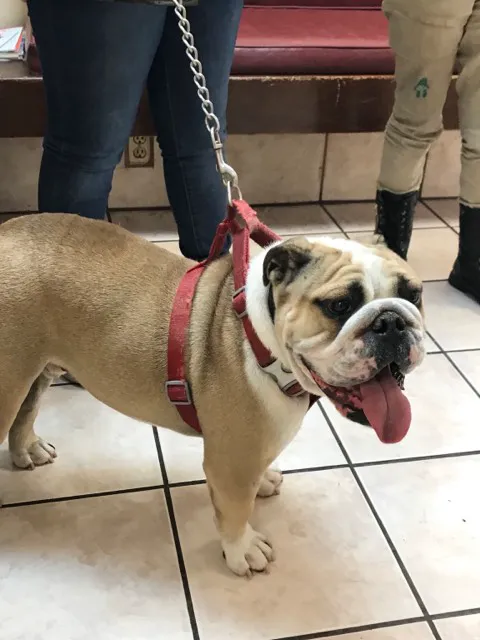 McRae Animal Hospital Picture 2