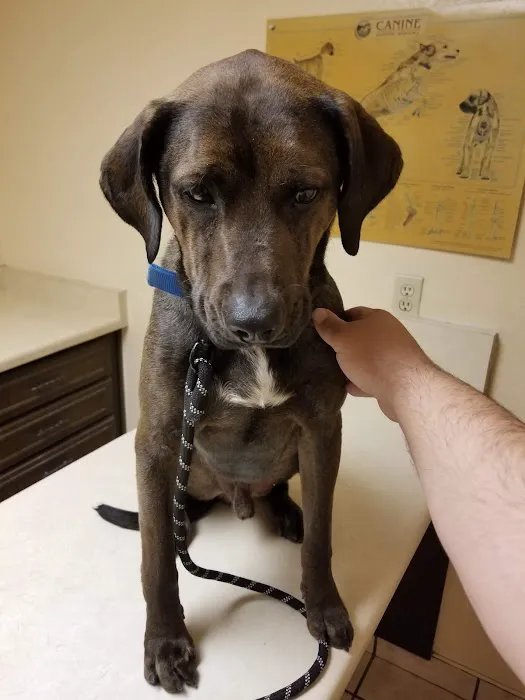 McRae Animal Hospital Picture 10