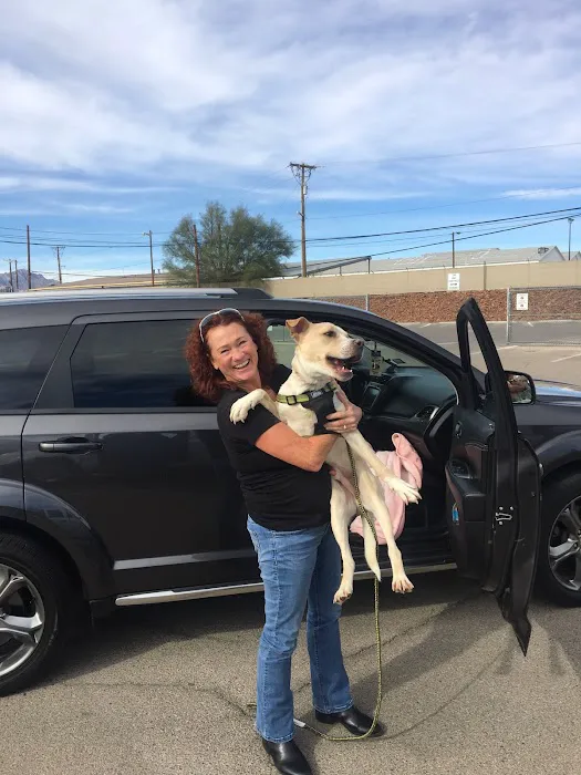 Vista Hills Animal Hospital: Shinaut Randy DVM Picture 3