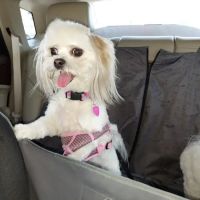 Vista Hills Animal Hospital ico