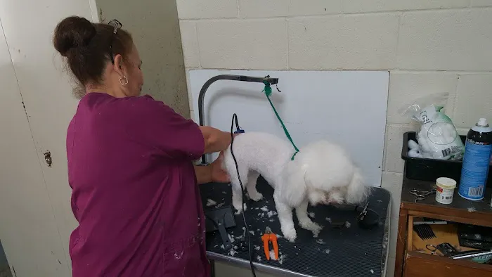 Vista Hills Animal Hospital Picture 9