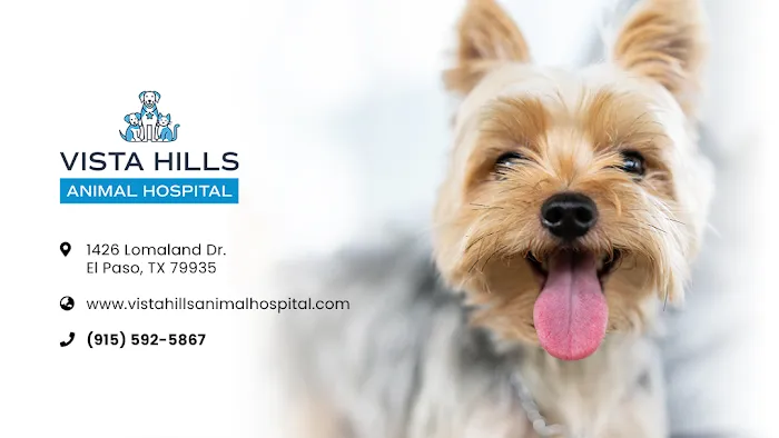 Vista Hills Animal Hospital Picture 7