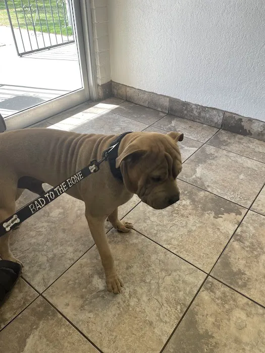 Vista Hills Animal Hospital Picture 10