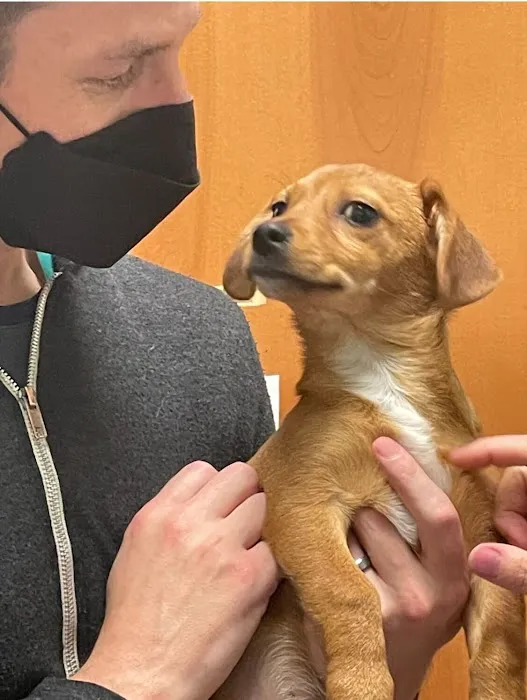 North Seattle Veterinary Clinic Picture 5