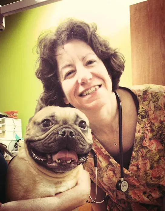 North Seattle Veterinary Clinic Picture 7