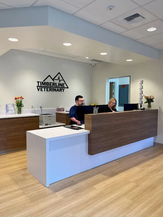 Timberline Vet Emergency & Specialty Picture 6
