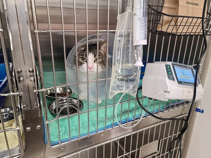 Timberline Vet Emergency & Specialty Picture 8