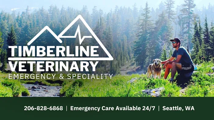 Timberline Vet Emergency & Specialty Picture 10