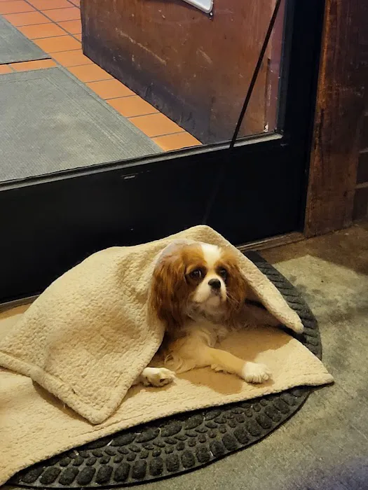 Pacific Paws Animal Hospital and Urgent Care Picture 4