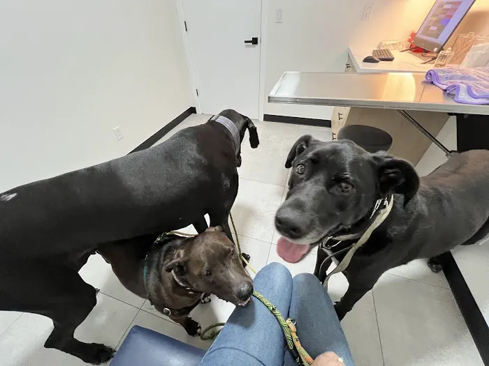 Pacific Paws Animal Hospital and Urgent Care Picture 8