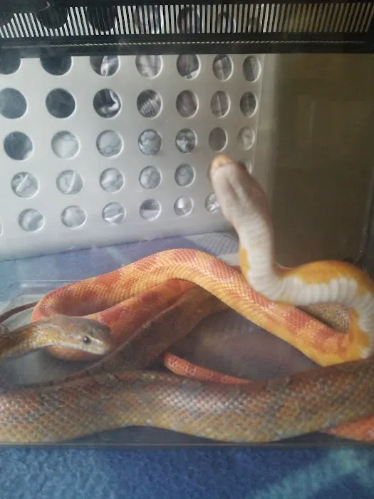 Bird & Exotic Clinic of Seattle Picture 6