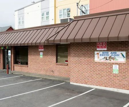 Bird & Exotic Clinic of Seattle