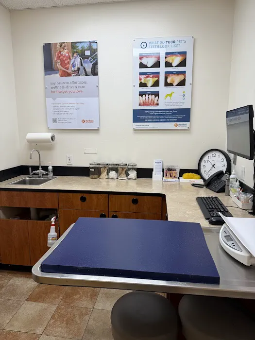 Banfield Pet Hospital Picture 9