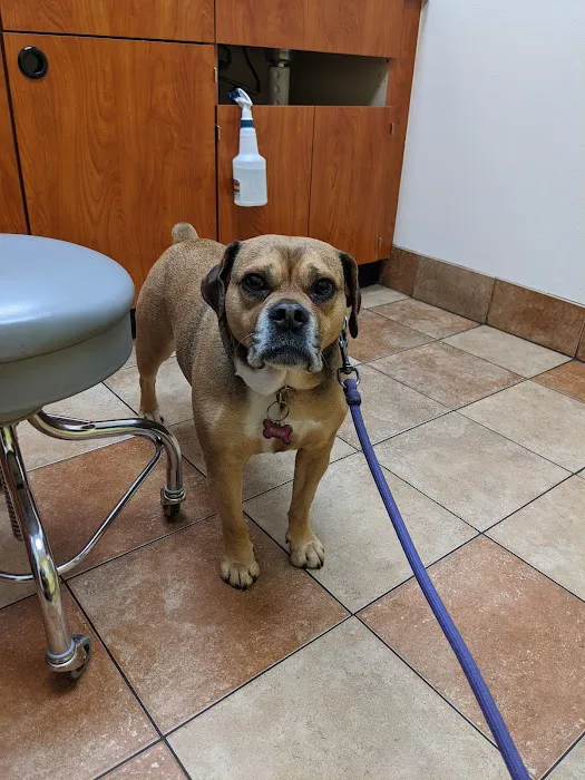 Banfield Pet Hospital Picture 7