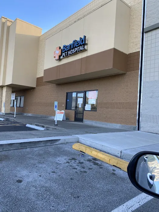 Banfield Pet Hospital Picture 4