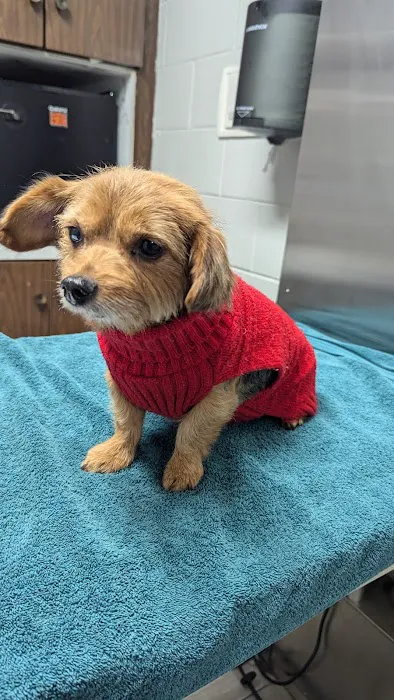 Alameda Animal Hospital Picture 4