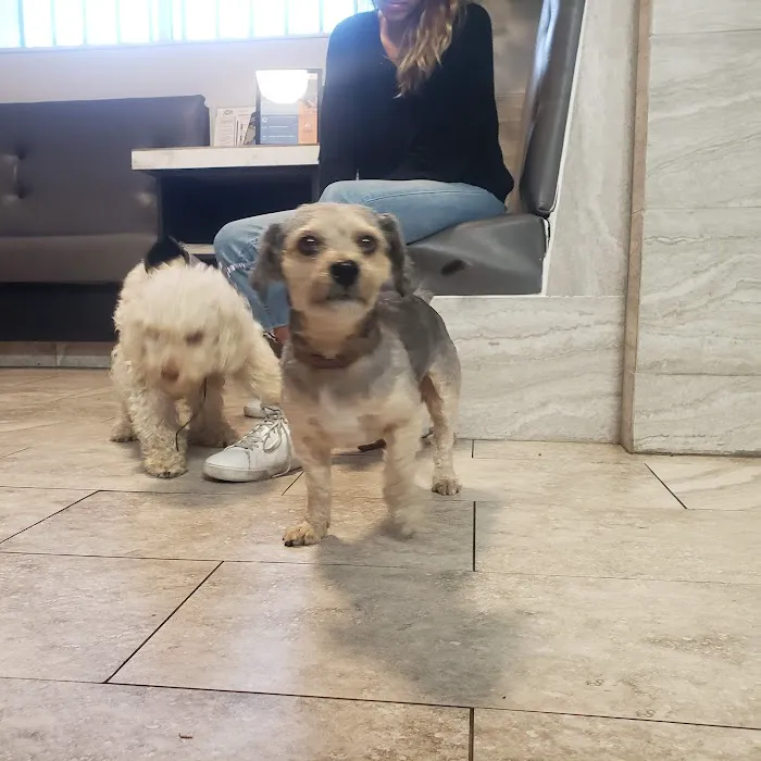 Alameda Animal Hospital Picture 6