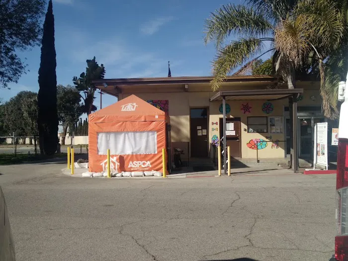 Los Angeles County Veterinary Picture 1