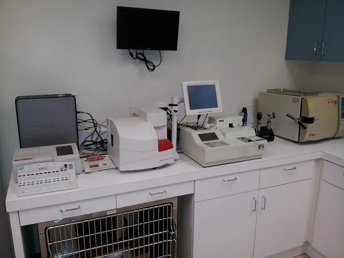 JH Animal Hospital Picture 1