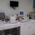 JH Animal Hospital