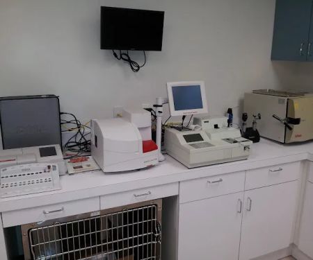 JH Animal Hospital